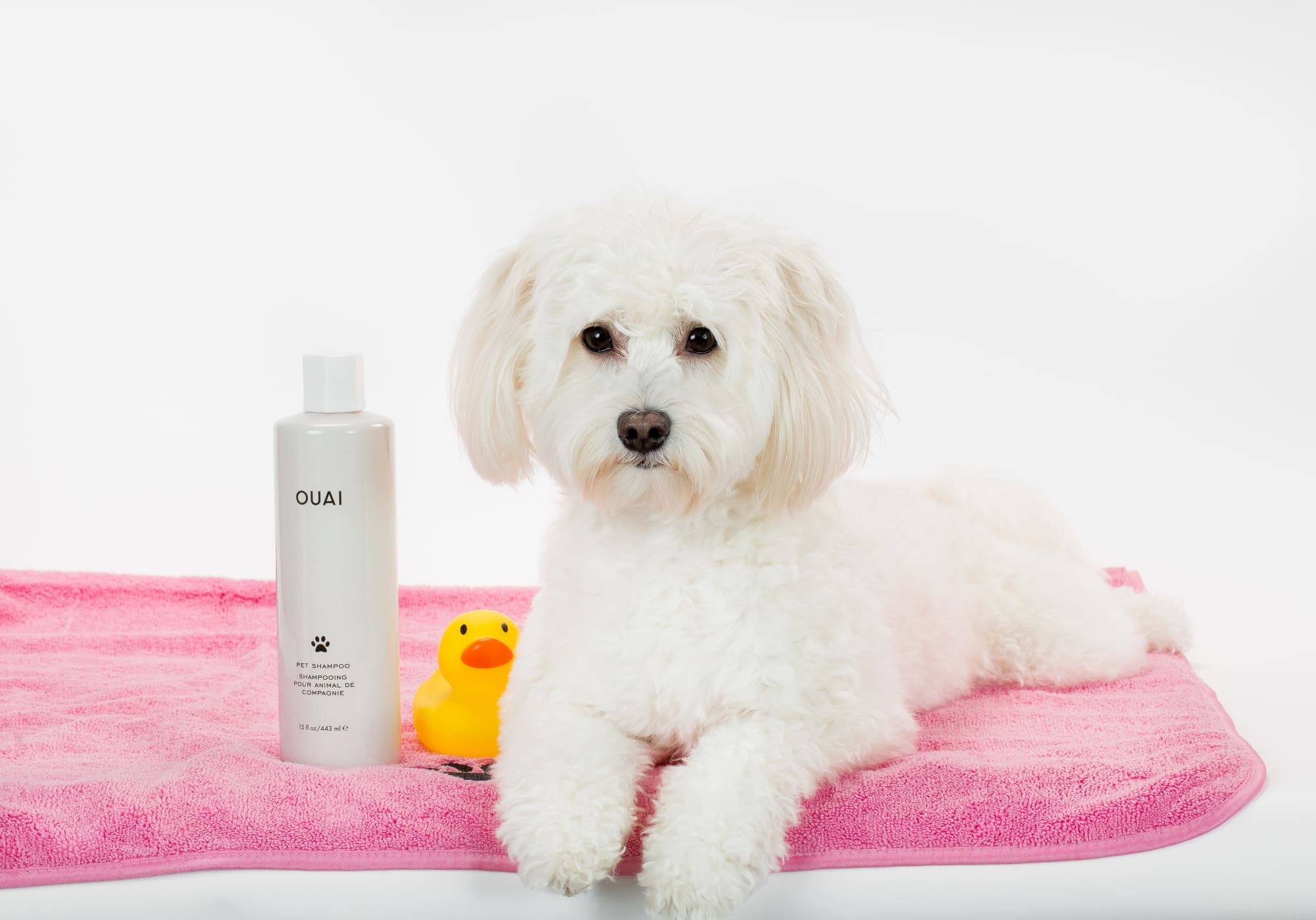OUAI Pet Shampoo Buy&Ship MY Shop Worldwide and Ship Malaysia