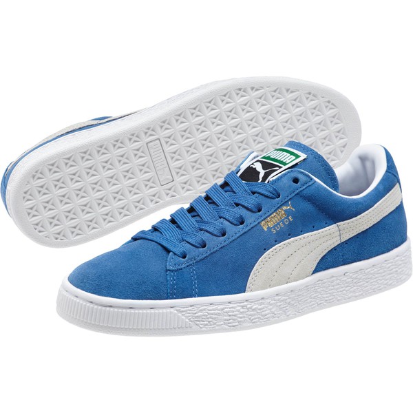 puma spring and rubber industries