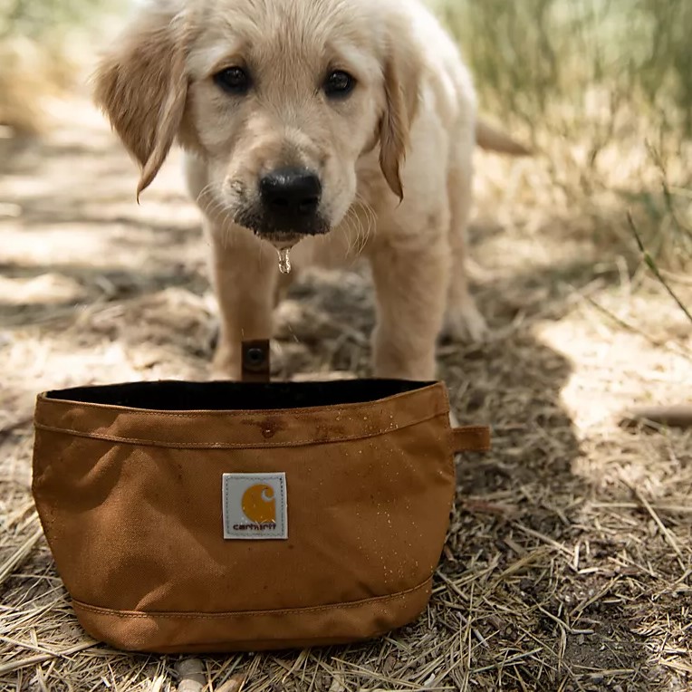 Carhartt travel dog bowl for dogs and pets
