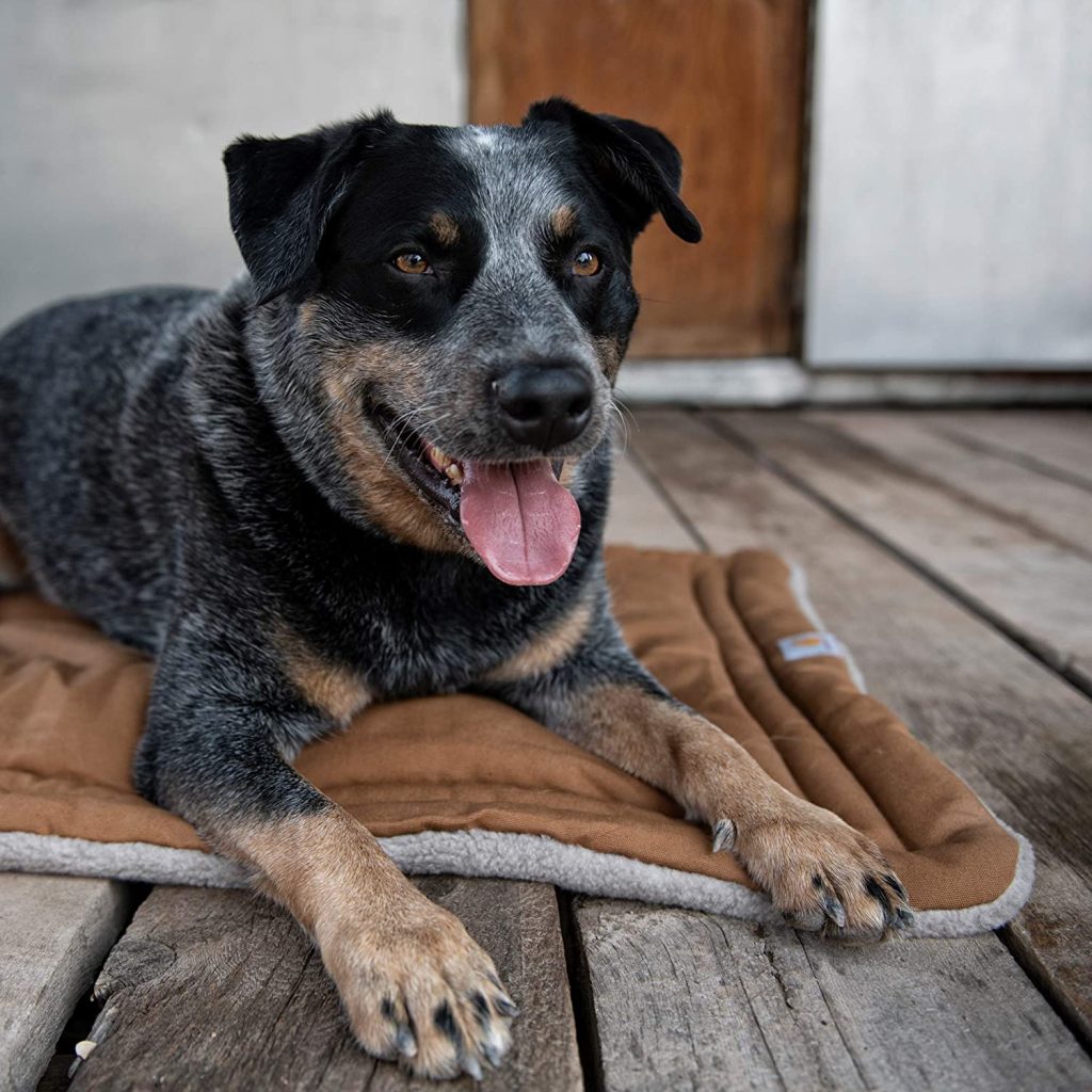 Carhartt pet napper pad for dogs and pets