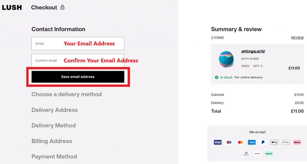 Lush UK Shopping Tutorial 6: enter personal email address