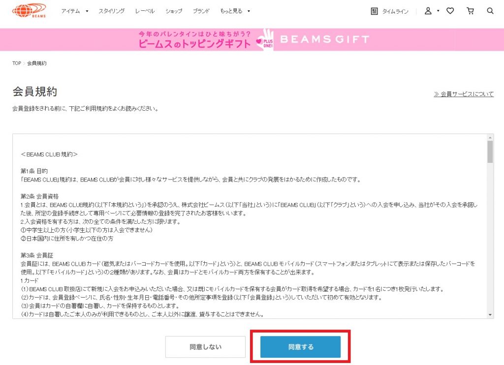 Beams Japan Shopping Tutorial 4: agree to terms and conditions
