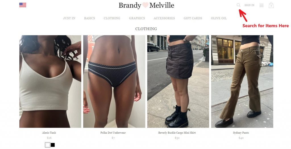 Brandy Melville USA Shopping Tutorial 3: browse or search for Brandy clothing
