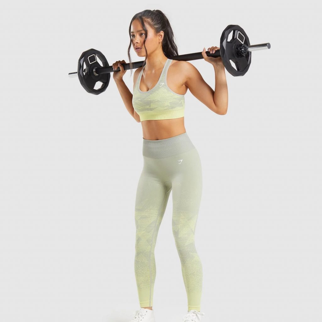 Gymshark top picks-Adapt Ombre Seamless Leggings