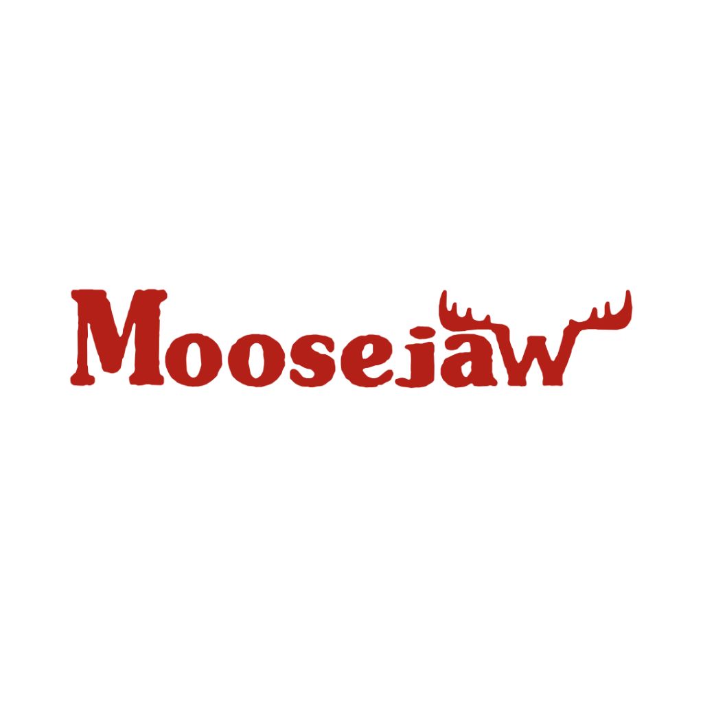Best Online Stores to Shop Salomon Shoes: Moosejaw US