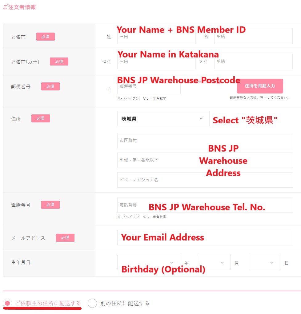 Sanrio JP Shopping Tutorial 6: enter BNS JP warehouse address, name and email address for checkout