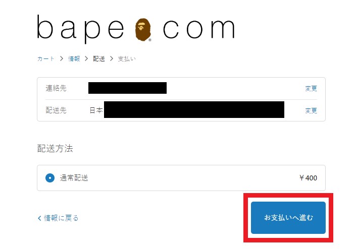 BAPE Japan Shopping Tutorial 9: choose shipping method