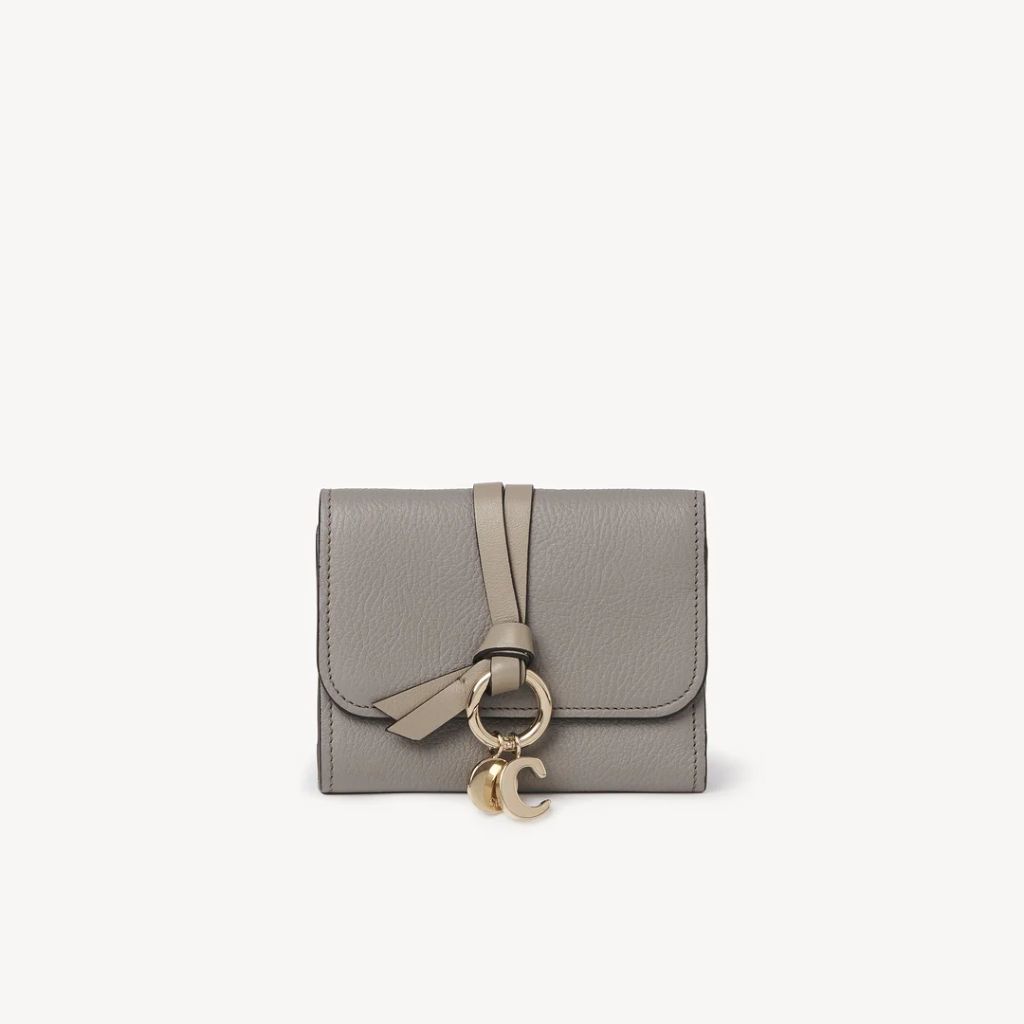 Best Chloé Styles to Shop in 2023: Alphabet Mini Tri-Fold Wallet