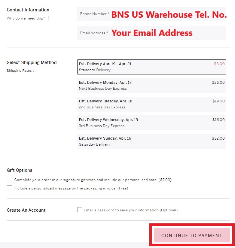 Victoria Secret US Shopping Tutorial 7: enter email and choose delivery method