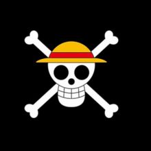 Get the Official "One Piece" Limited Edition Merch from Toei Animation in Japan!