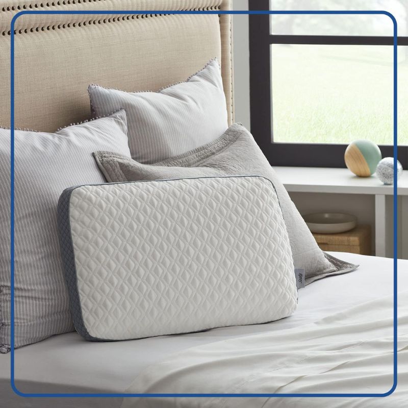 Sealy Molded Pillow